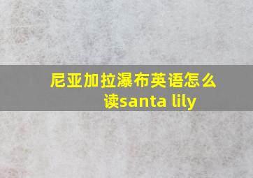 尼亚加拉瀑布英语怎么读santa lily